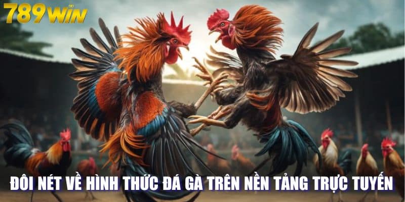 Đôi nét về hình thức đá gà trên nền tảng trực tuyến