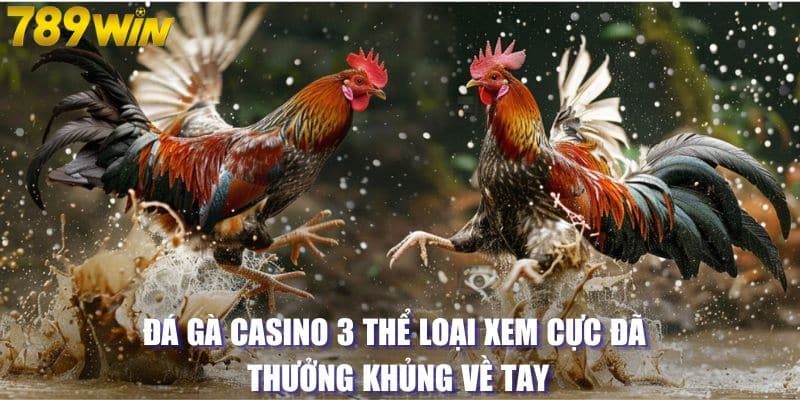 Đá Gà Casino 3 Thể Loại Xem Cực Đã Thưởng Khủng Về Tay