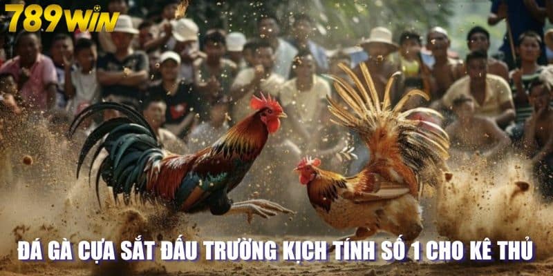 Đá Gà Cựa Sắt Đấu Trường Kịch Tính Số 1 Cho Kê Thủ