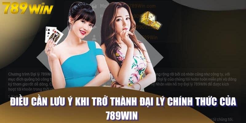 Điều cần lưu ý khi trở thành đại lý chính thức của 789WIN 