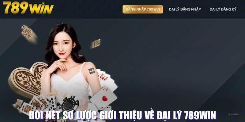 Đôi nét sơ lược giới thiệu về đại lý 789WIN 