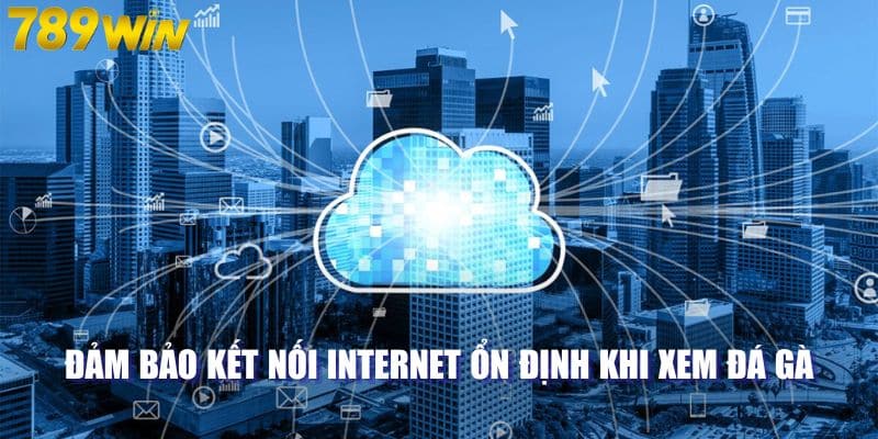 Đảm bảo kết nối internet ổn định khi xem đá gà