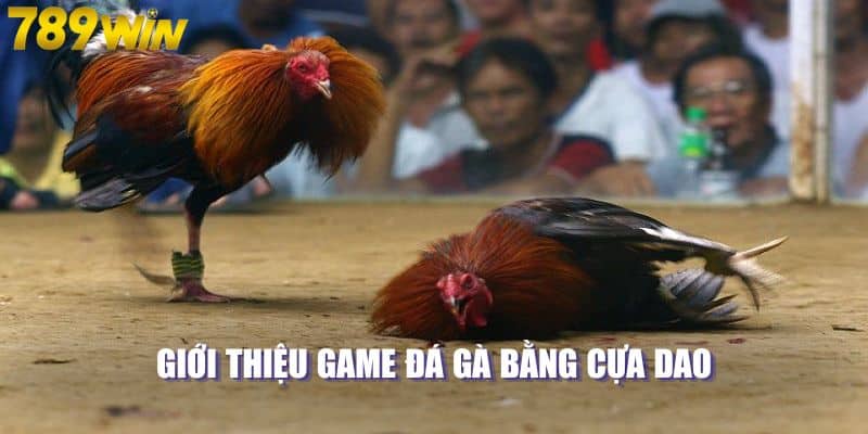 Giới thiệu game đá gà bằng cựa dao