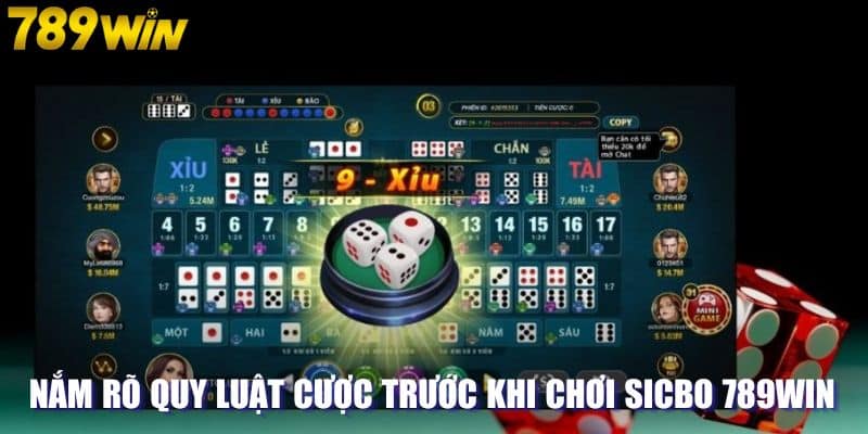 Nắm rõ quy luật cược trước khi chơi sicbo 789WIN