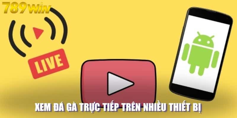 Xem đá gà trực tiếp 789WIN trên nhiều thiết bị